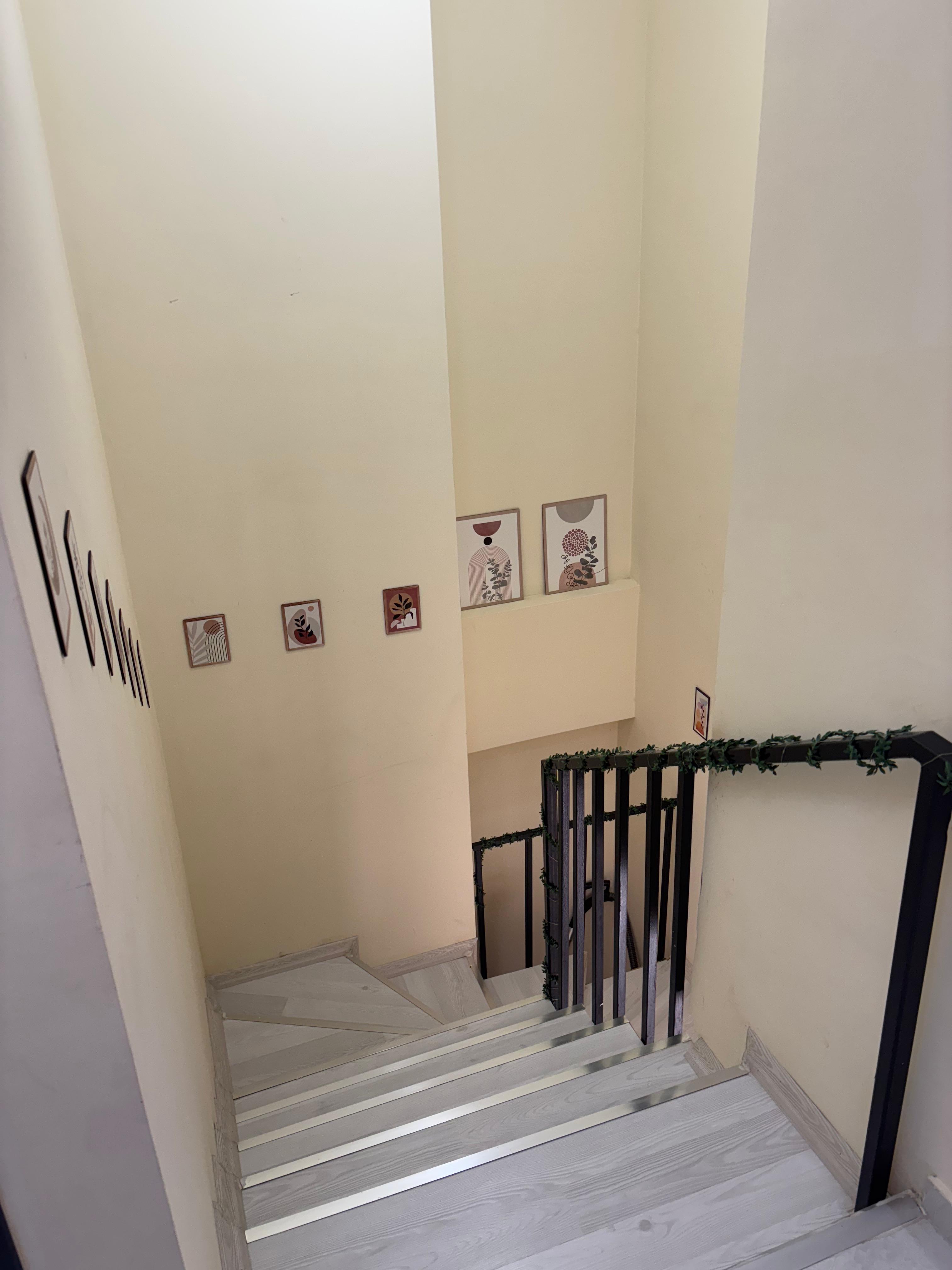 Galeri 6